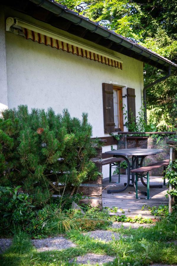 Ferienhaus Schetteregg Extérieur photo